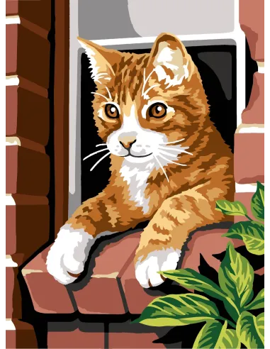 Canevas : 40x50 cm, Chat roux | Zéphyr Tissus