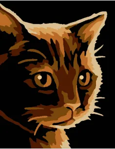 Kit canevas : 20x25 cm, Clair-obscur chat | Zéphyr Tissus