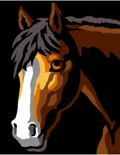 Kit canevas : 20x25 cm, Clair-obscur cheval | Zéphyr Tissus