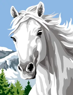 Kit canevas : 20x25 cm, Cheval | Zéphyr Tissus