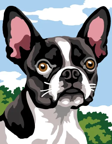 Kit canevas : 20x25 cm, Bulldog | Zéphyr Tissus
