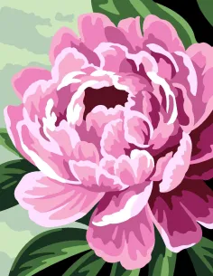 Kit canevas : 20x25 cm, Pivoines | Zéphyr Tissus