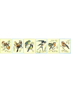 Kit canevas : 50x60 cm, KIT SERIE DE 6 LES OISEAUX 92 | Zéphyr Tissus