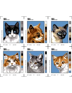 Kit canevas : 25x20 cm, Portrait de chat | Zéphyr Tissus