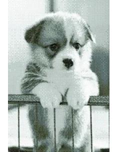 Tableau à broder : 30x40 cm, CHIOT | Zéphyr Tissus