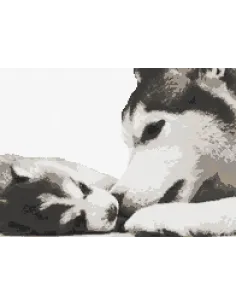 Tableau à broder : 28x20 cm, HUSKY ET SON CHIOT | Zéphyr Tissus