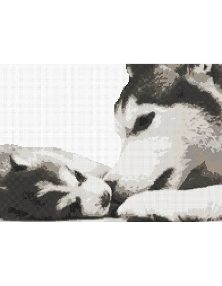 Tableau à broder : 28x20 cm, HUSKY ET SON CHIOT | Zéphyr Tissus