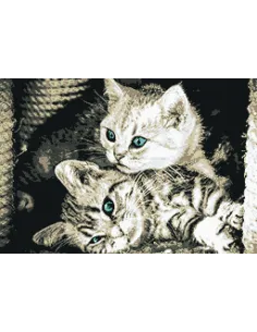 Tableau à broder : 36.5x25 cm, CHATONS | Zéphyr Tissus