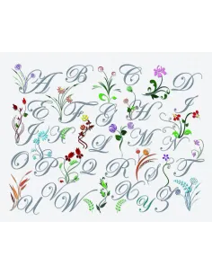 Abécédaire à broder : 50x60 cm, TABLEAU ABC FLEURS SAUVAGES | Zéphyr T