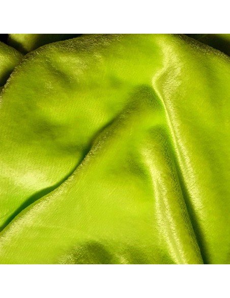 Tissu, Polaire Doudou Uni, Vert Sapin, Laize 155 cm, 100% Polyester 270g/ml