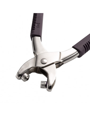 Matrices à retirer « Color Snaps »