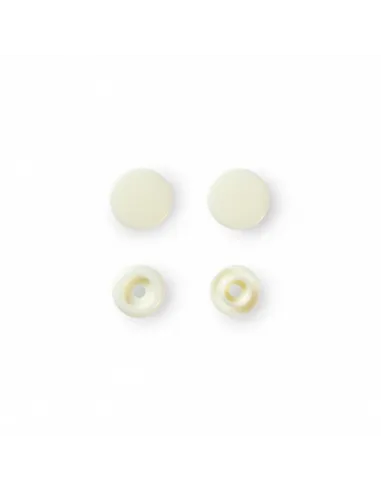 Boutons pression Color Snaps Prym, perle | Zephyr Tissus