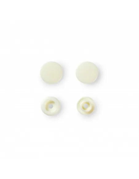 Boutons pression Color Snaps Prym, perle | Zephyr Tissus