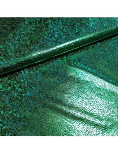 Tissu, Jersey Disco, Vert Émeraude, Laize 150 cm, 95% Polyester 5% Spandex