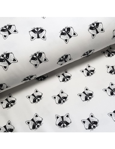 Tissu, Sweat Imprimé Ratons-Laveurs, Fond Blanc, Laize 150 cm, 95% Coton 5% Spandex