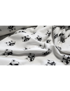 Sweat ratons-laveurs 2