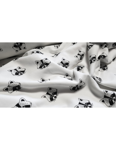 Sweat ratons-laveurs