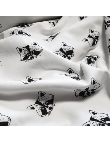 Tissu, Sweat Imprimé Ratons-Laveurs, Fond Blanc, Laize 150 cm, 95% Coton 5% Spandex
