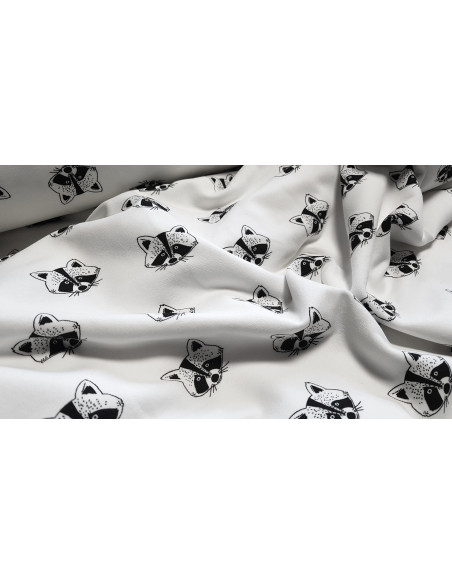 Sweat ratons-laveurs