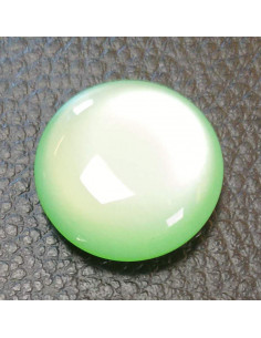 Bouton à queue, Ø21mm, vert