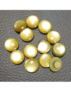 Bouton à queue, Ø11mm, vert 2