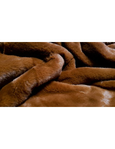 Fourrure luxe, renard 2