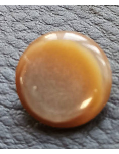 Bouton à queue, Ø 13 mm, marron