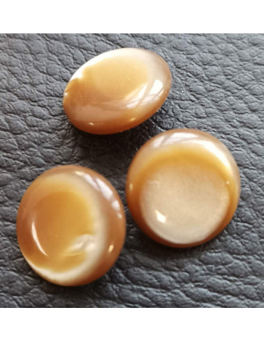 Bouton à queue, Ø 13 mm, marron