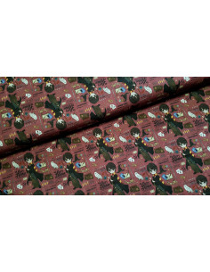 Popeline de coton Harry Potter, Harry